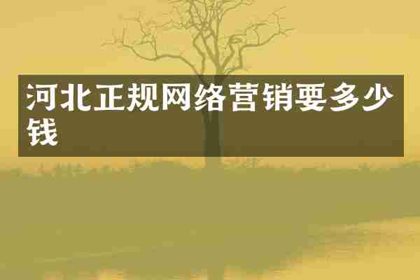 河北正规网络营销要多少钱