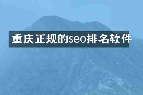 重庆正规的seo排名软件