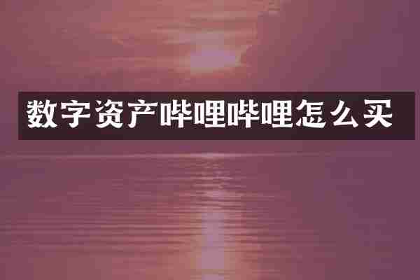 数字资产哔哩哔哩怎么买