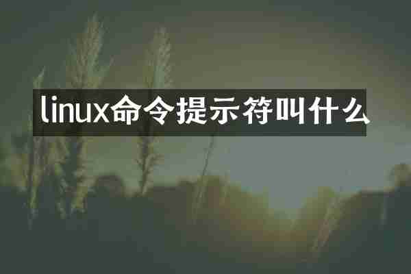 linux命令提示符叫什么