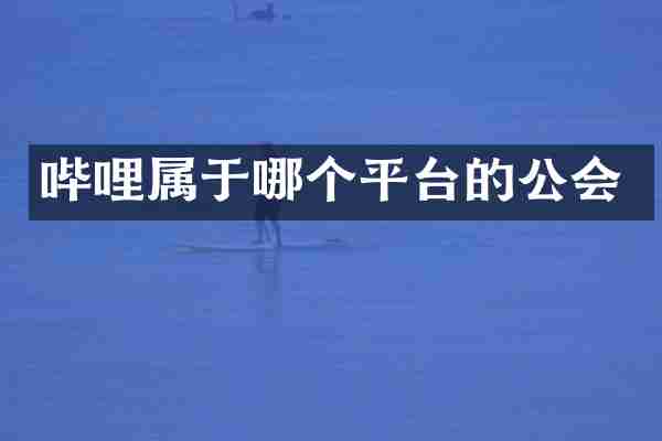 哔哩属于哪个平台的公会