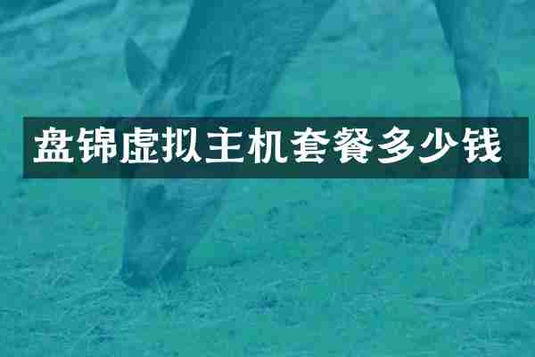 盘锦虚拟主机套餐多少钱