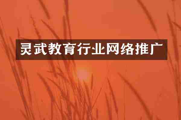 灵武教育行业网络推广