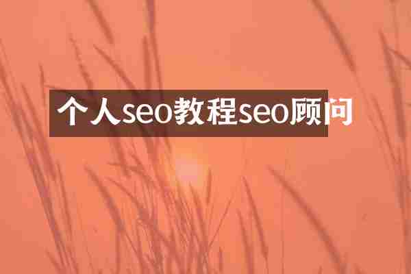 个人seo教程seo顾问