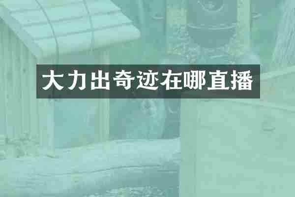 大力出奇迹在哪直播