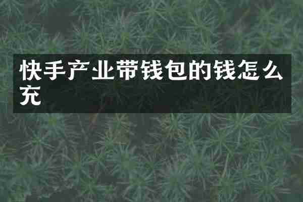 快手产业带钱包的钱怎么充
