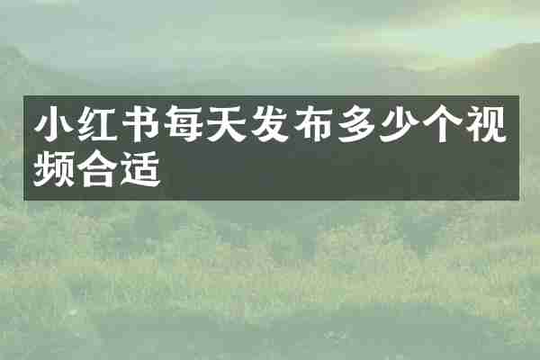 小红书每天发布多少个视频合适