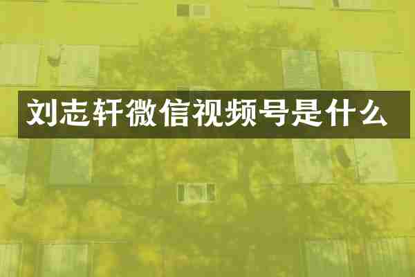 刘志轩微信视频号是什么