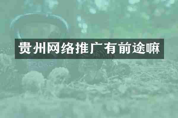 贵州网络推广有前途嘛