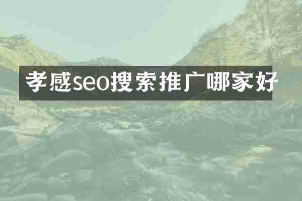孝感seo搜索推广哪家好