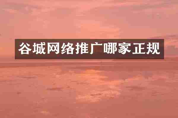 谷城网络推广哪家正规