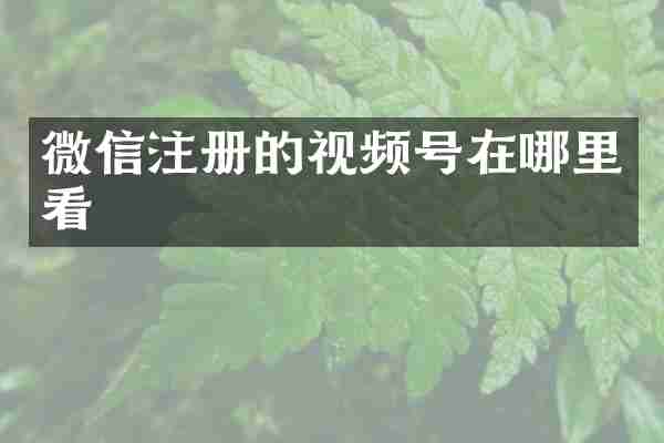 微信注册的视频号在哪里看