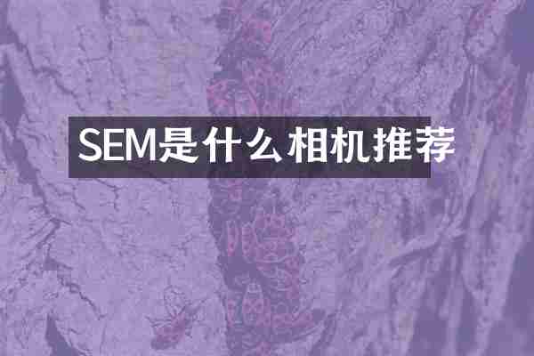 SEM是什么相机推荐