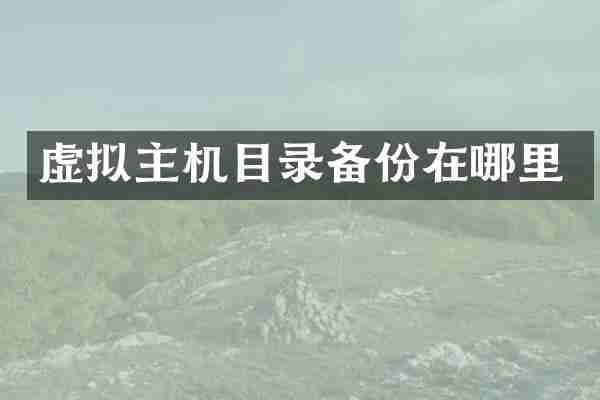 虚拟主机目录备份在哪里