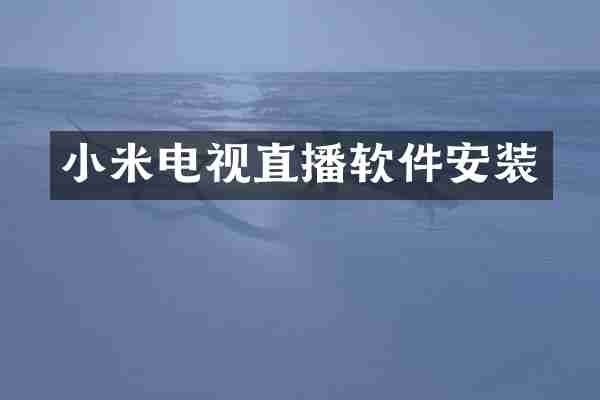 小米电视直播软件安装