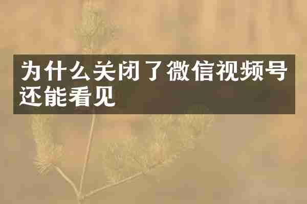 为什么关闭了微信视频号还能看见