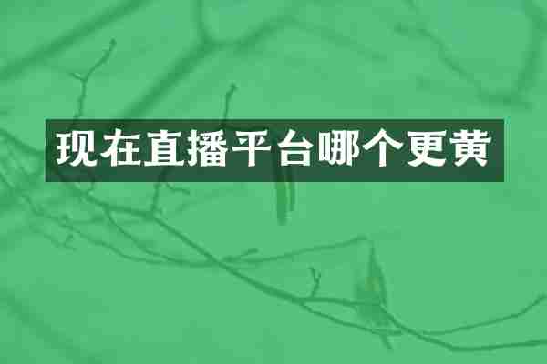 现在直播平台哪个更黄
