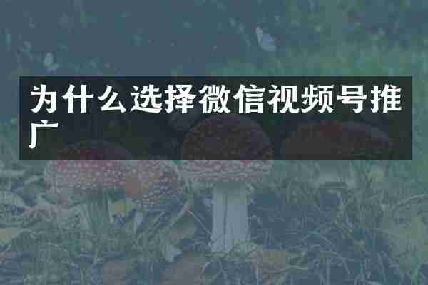 为什么选择微信视频号推广