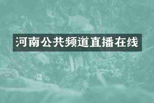 河南公共频道直播在线