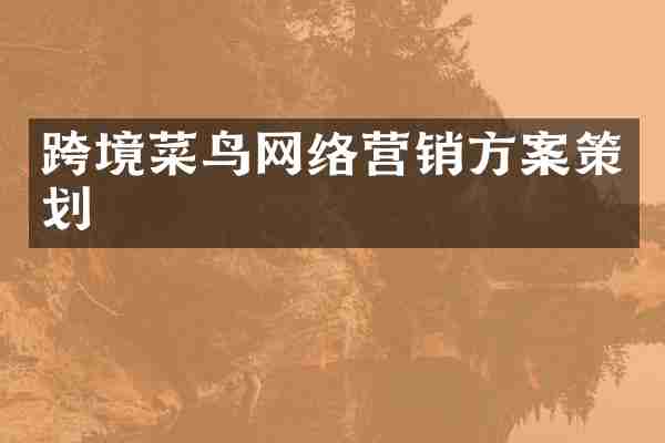 跨境菜鸟网络营销方案策划