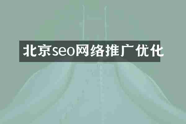北京seo网络推广优化
