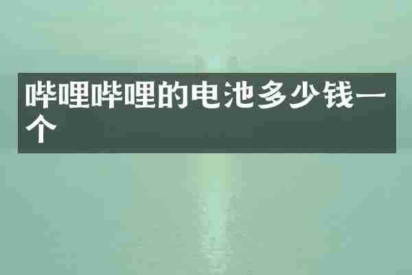 哔哩哔哩的电池多少钱一个
