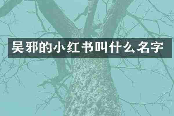 吴邪的小红书叫什么名字