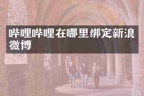 哔哩哔哩在哪里绑定新浪微博