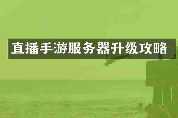 直播手游服务器升级攻略