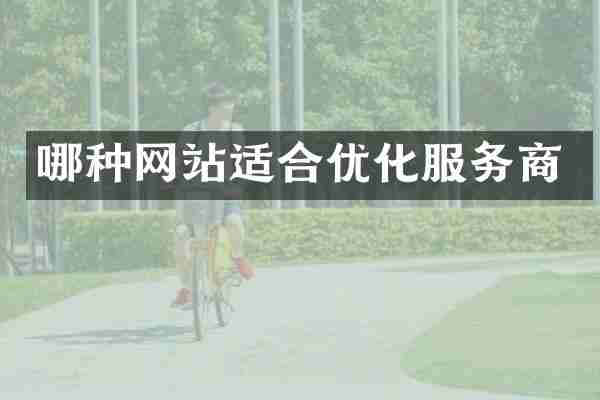哪种网站适合优化服务商