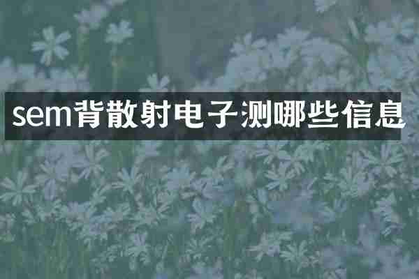 sem背散射电子测哪些信息