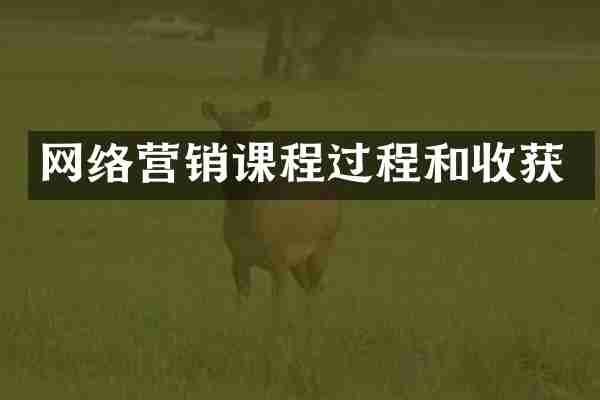 网络营销课程过程和收获