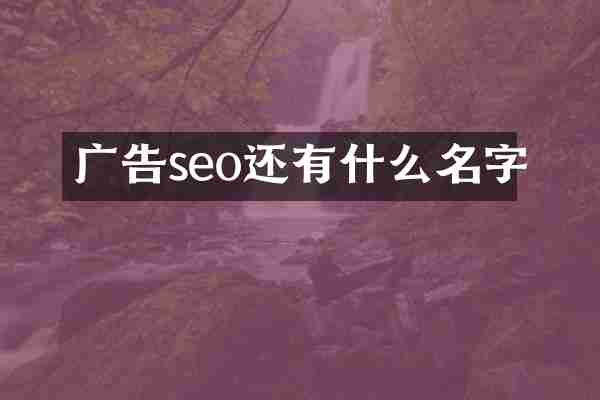 广告seo还有什么名字
