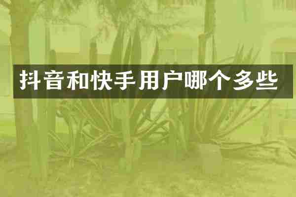 抖音和快手用户哪个多些
