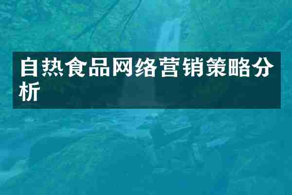 自热食品网络营销策略分析