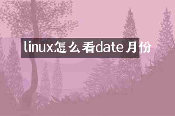 linux怎么看date月份