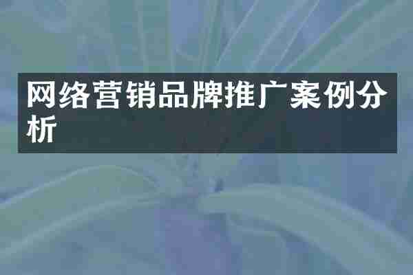 网络营销品牌推广案例分析