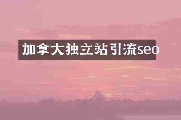 加拿大独立站引流seo