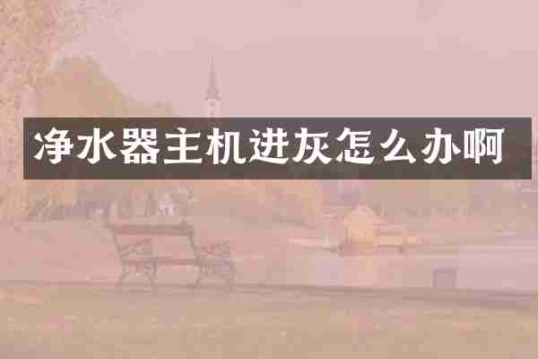 净水器主机进灰怎么办啊