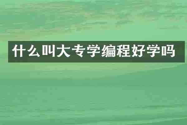 什么叫大专学编程好学吗