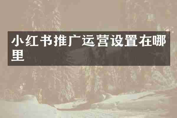 小红书推广运营设置在哪里