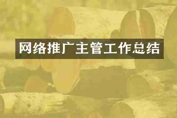 网络推广主管工作总结