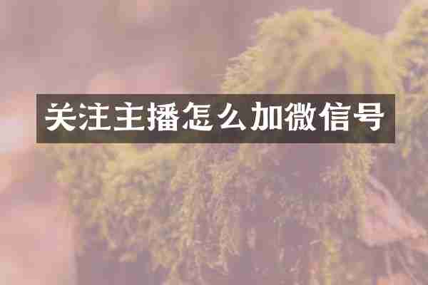 关注主播怎么加微信号
