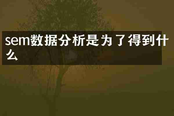 sem数据分析是为了得到什么