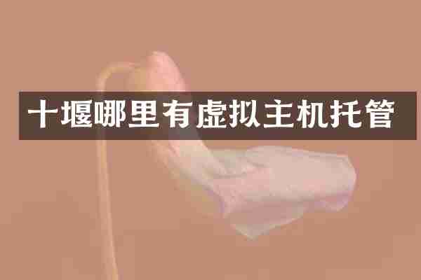 十堰哪里有虚拟主机托管