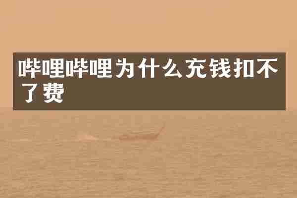 哔哩哔哩为什么充钱扣不了费