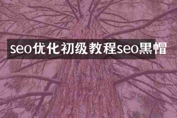 seo优化初级教程seo黑帽
