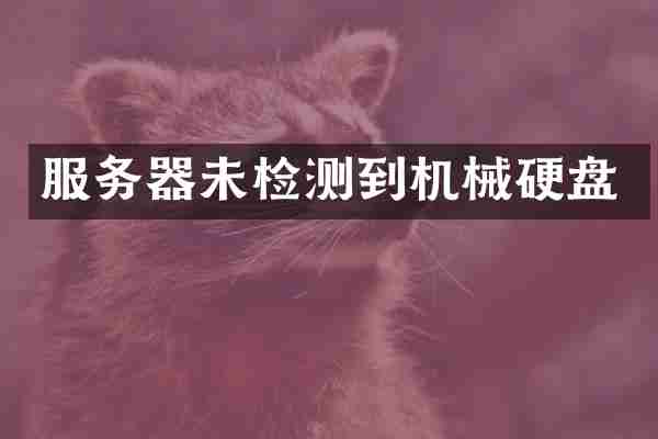 服务器未检测到机械硬盘