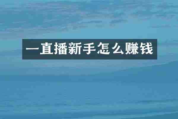 一直播新手怎么赚钱