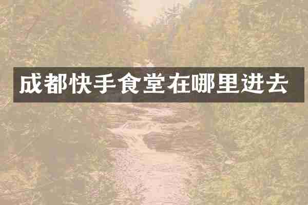 成都快手食堂在哪里进去